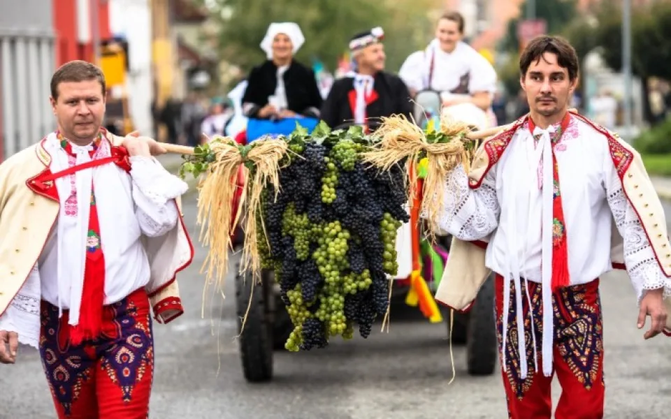 ilustrační foto, zdroj: www.wineofczechrepublic.cz