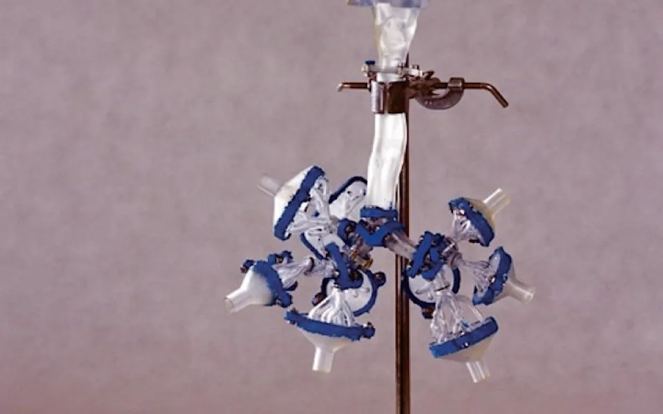 Model plic