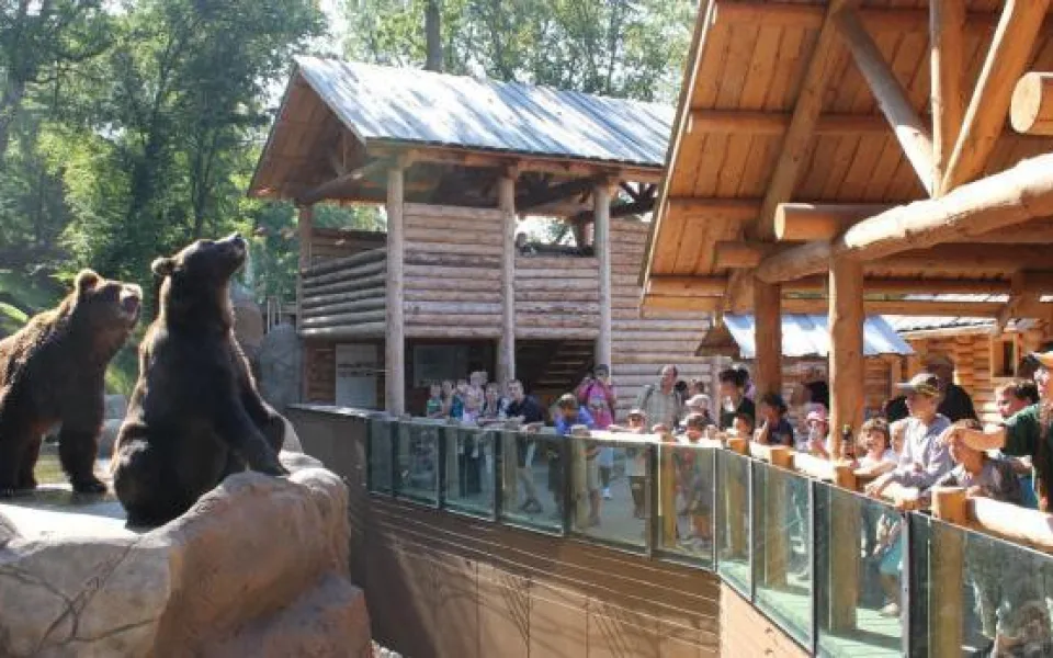 "Beringie" brněnské zoo, zdroj: Česká televize