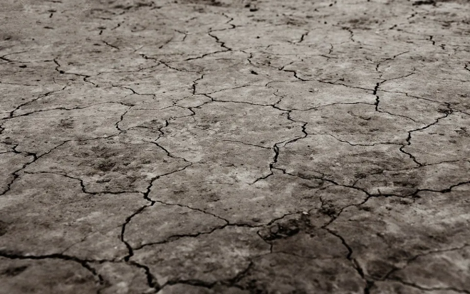 ilustrační foto, zdroj: pixabay.com