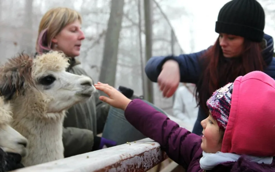 Zdroj: Zoo Brno