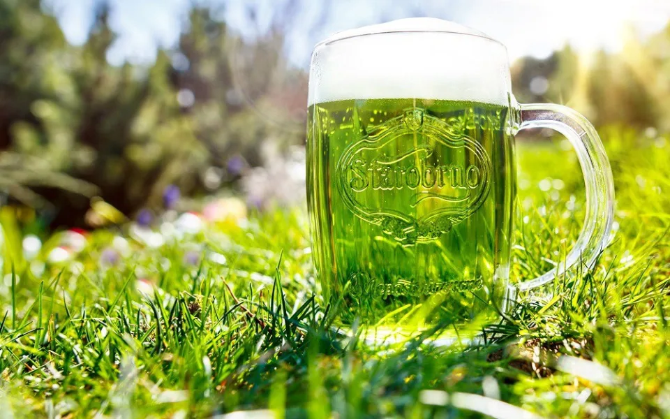 Zelené Pivo, Starobrno