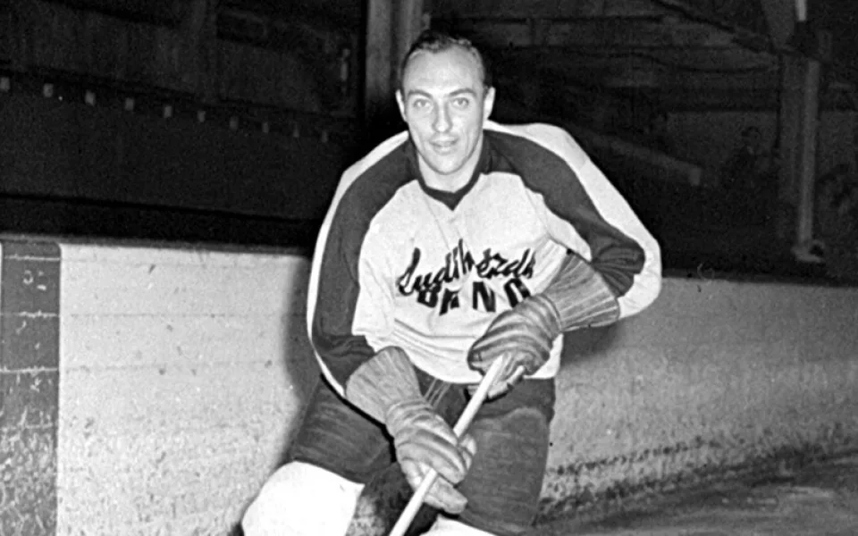 Vlastimil Bubník