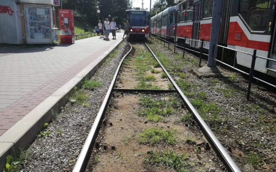 Zdroj: DPMB