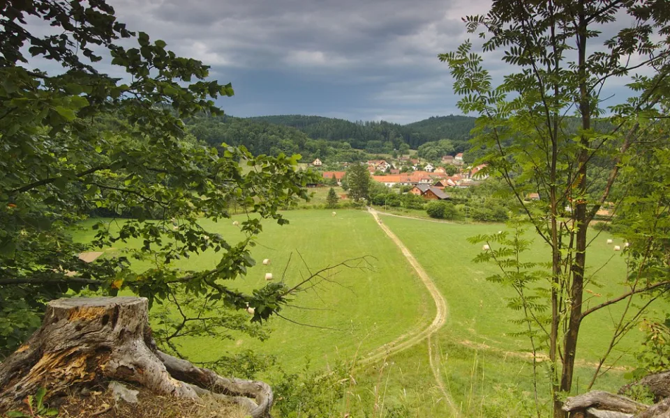 Pohled z lesů na obec Holštejn