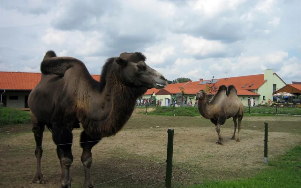 Vyškovský zoopark