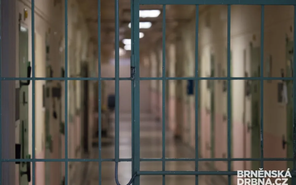 ilustrační foto