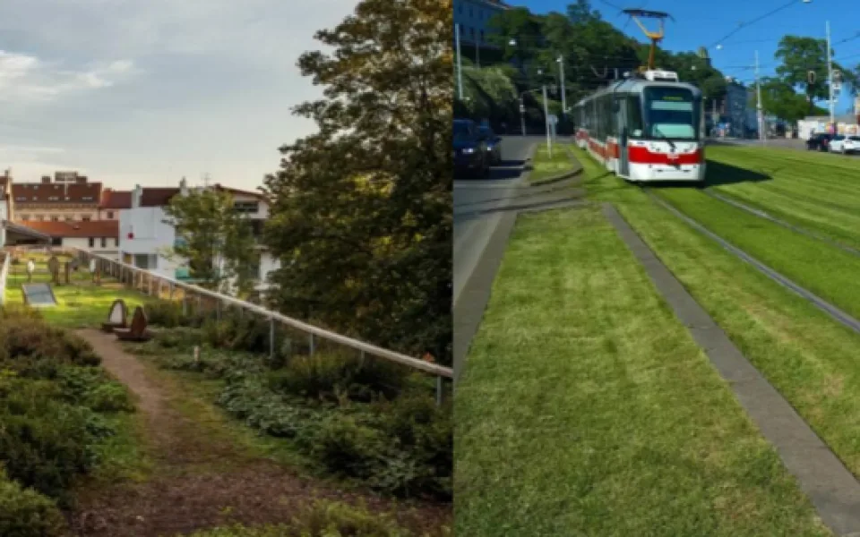 Zdroj: Nadace Partnerství