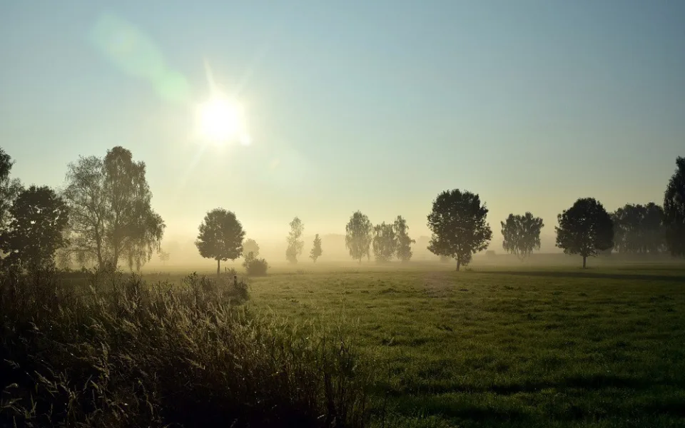 ilustrační foto, zdroj: pixabay.com