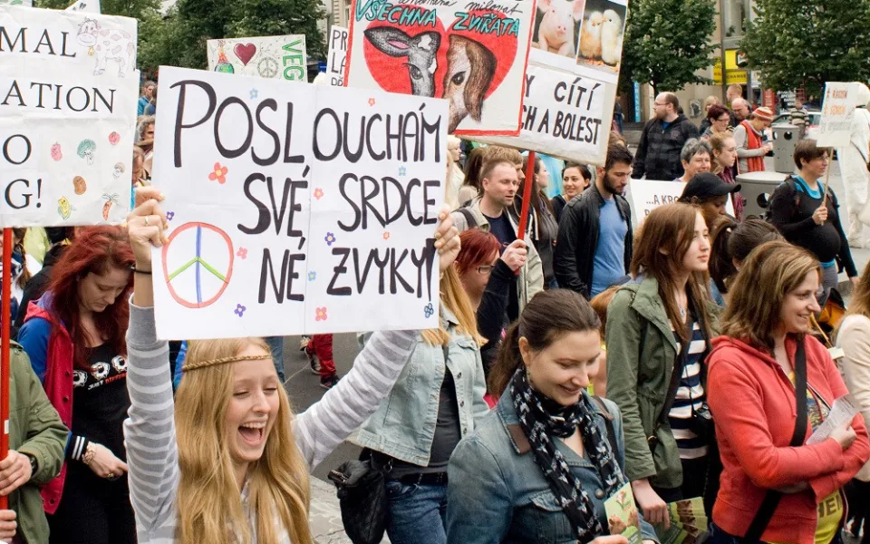 ilustrační foto