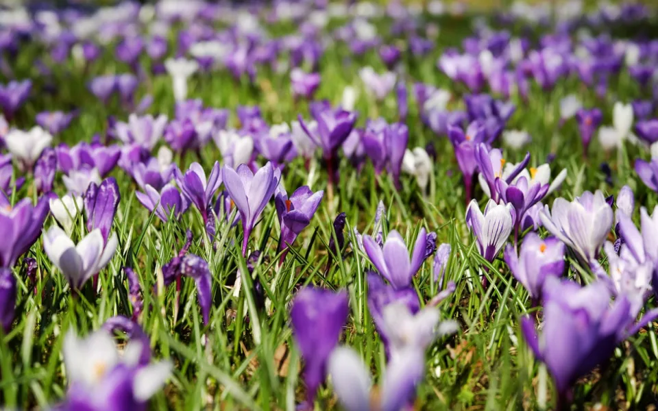 ilustrační foto, zdroj: pixabay.com