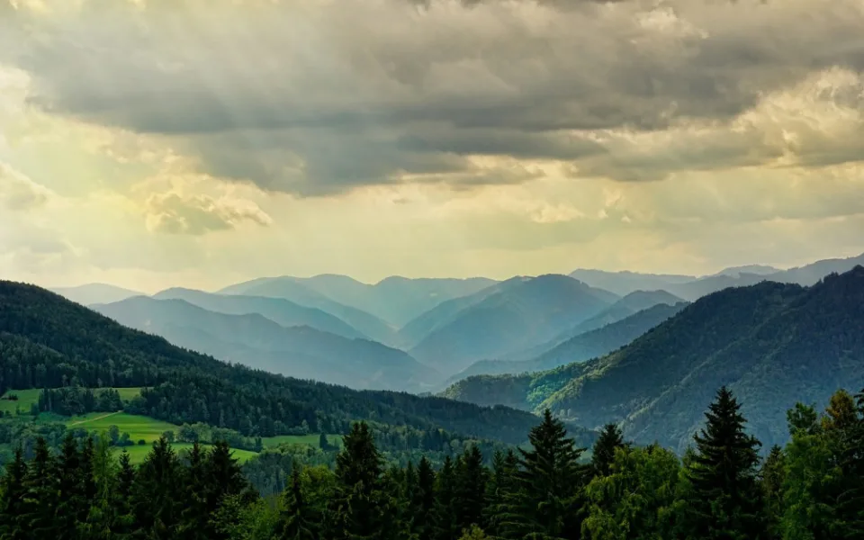 nature-3616194_1280
