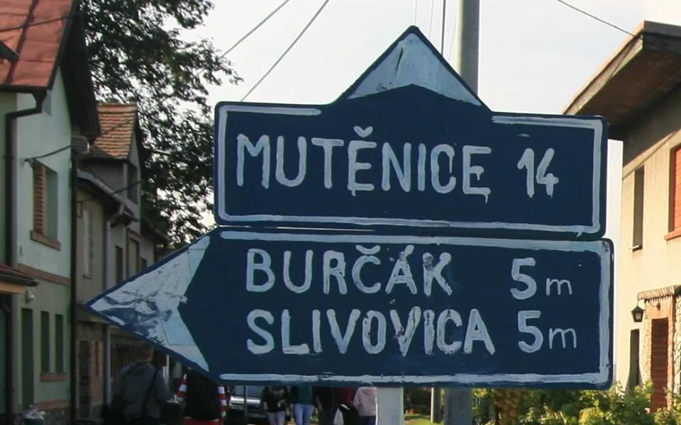 ilustrační foto