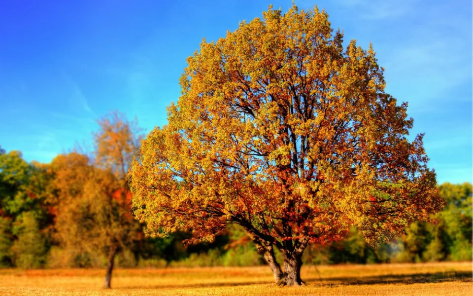ilustrační foto