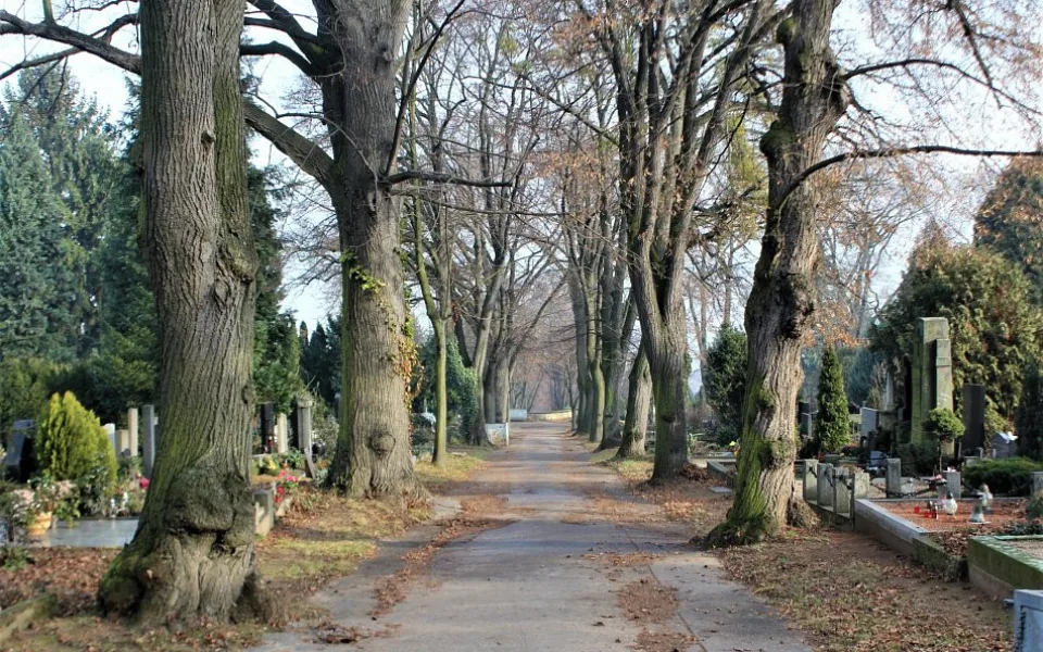 Ústřední hřbitov Brno