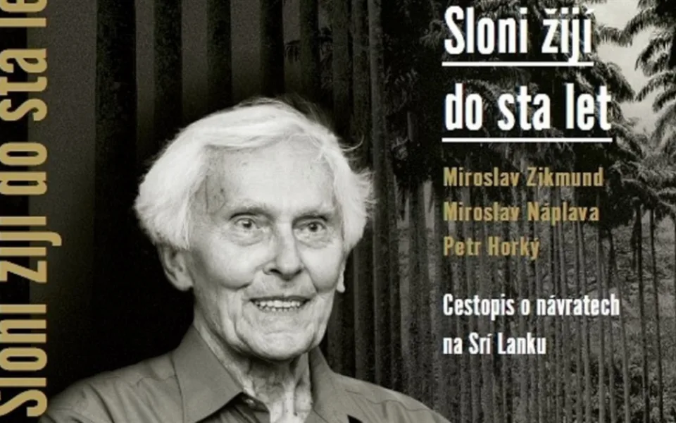 Sloni žijí do sta let