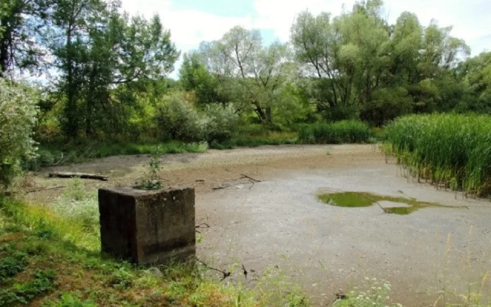 Čížovský malý rybník