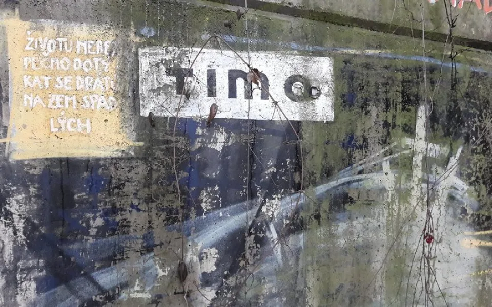 Timo