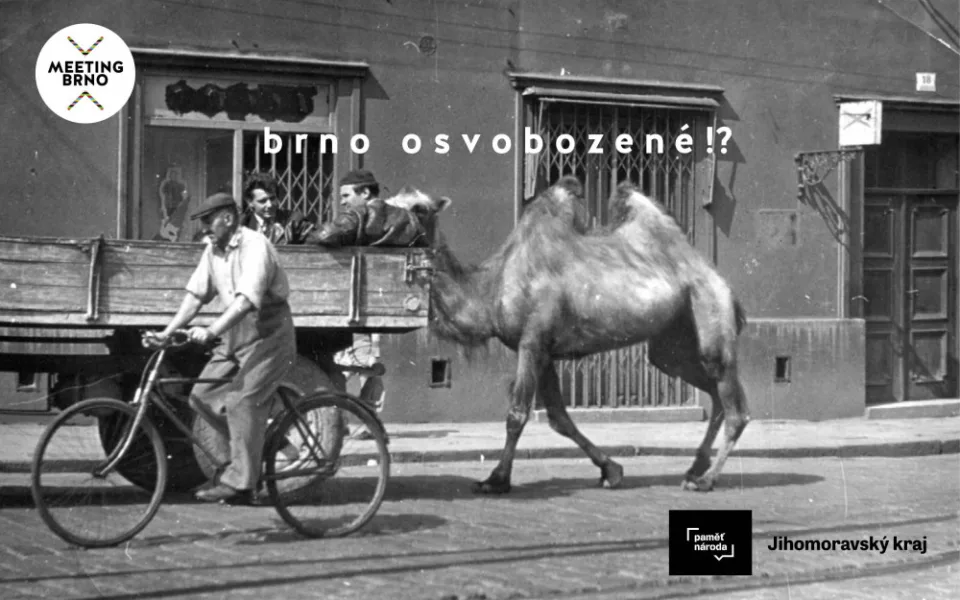 Brno osvobozené?