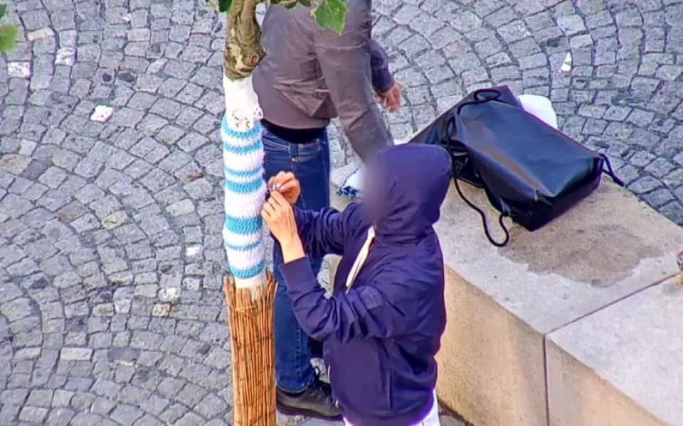 Zdroj: MP Brno