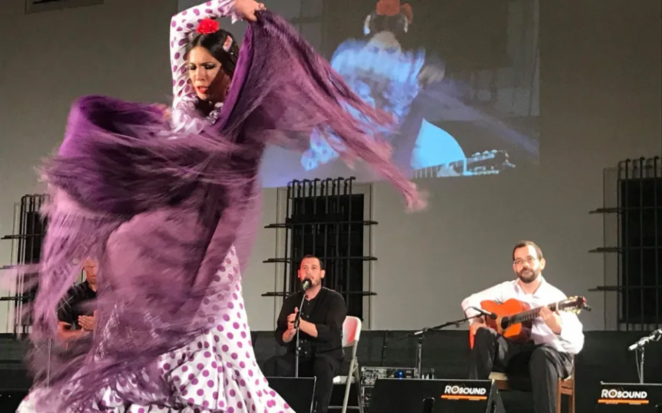 Mezinárodní kytarový festival