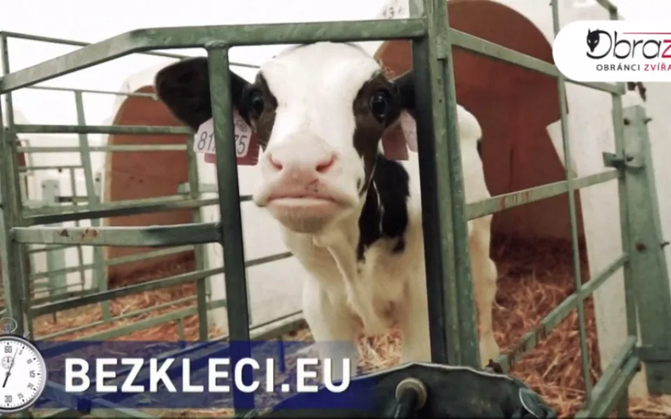 Jeden ze zveřejněných záběrů