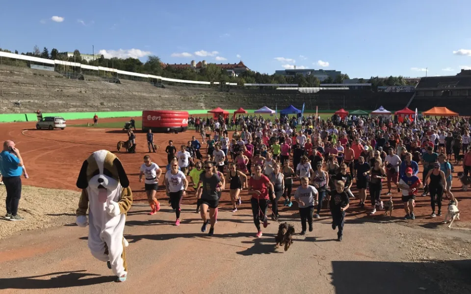 Celý běh vedl maskot Běhejme a pomáhejme útulkům.