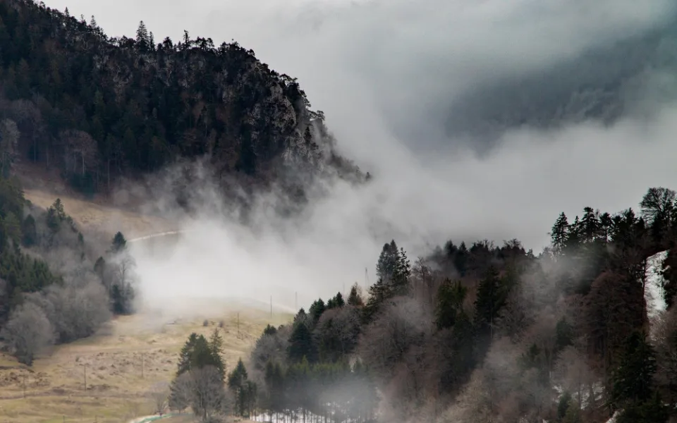 fog-4597348_1920