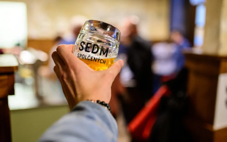sedm spolčených9