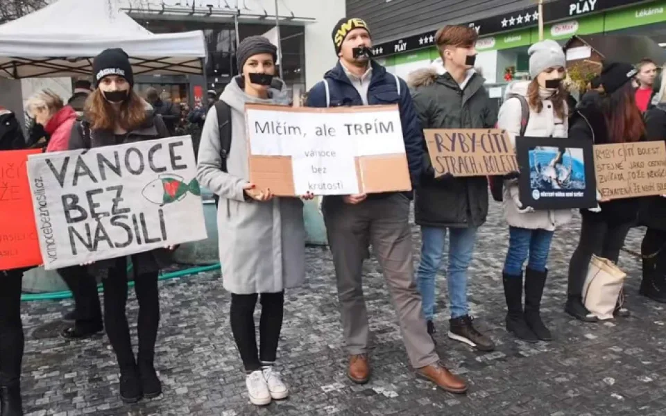 Ilustrační foto