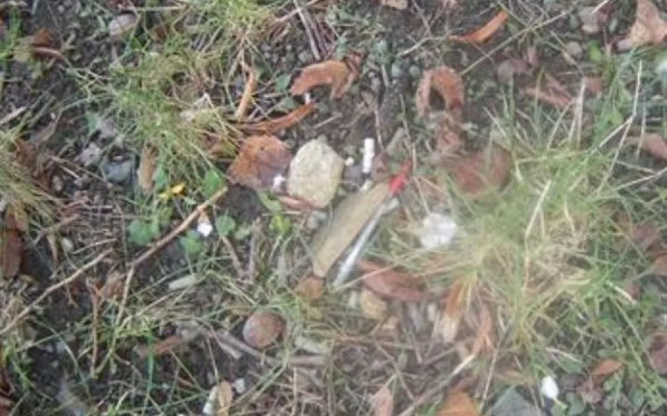 csm_aplik1_5ae63a9d8b