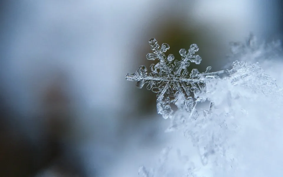 snowflake-1245748_1280
