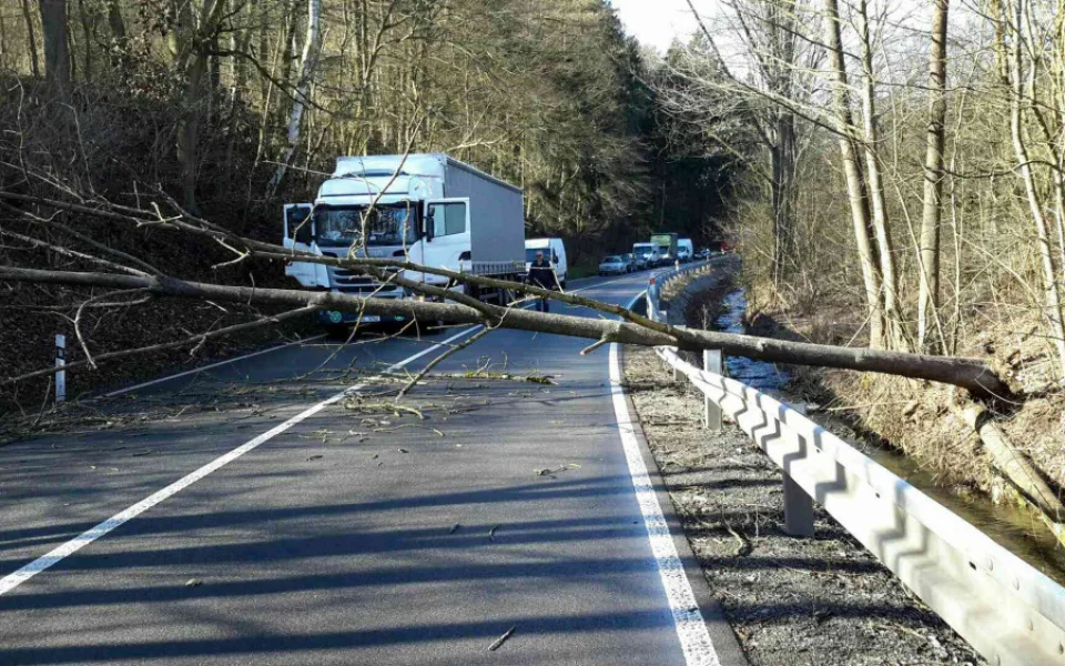 Spadlý strom komplikuje dopravu