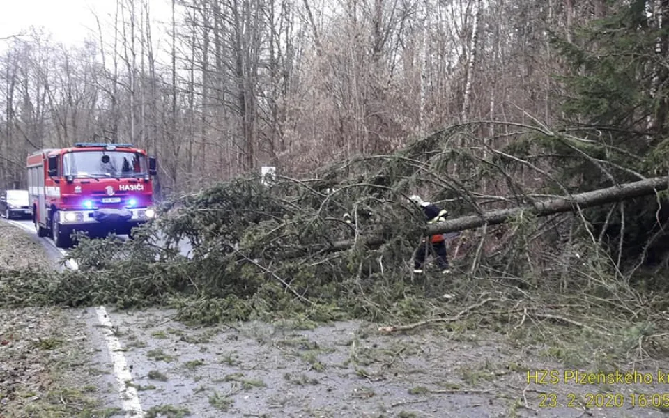 Hasiči převážně odstraňovali spadlé stromy.