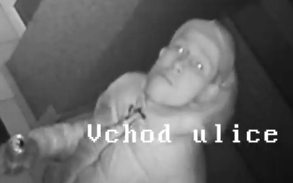 pátrání
