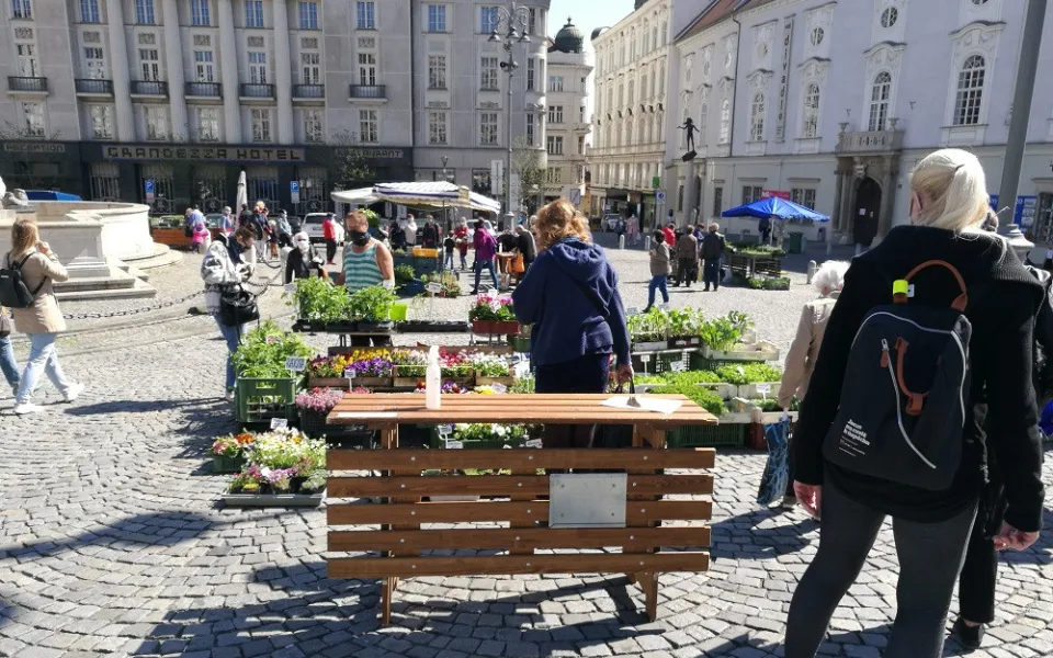 Zelňák opět žije. Na znovuotevřených trzích nakupují lidé od pondělí sazenice a zeleninu