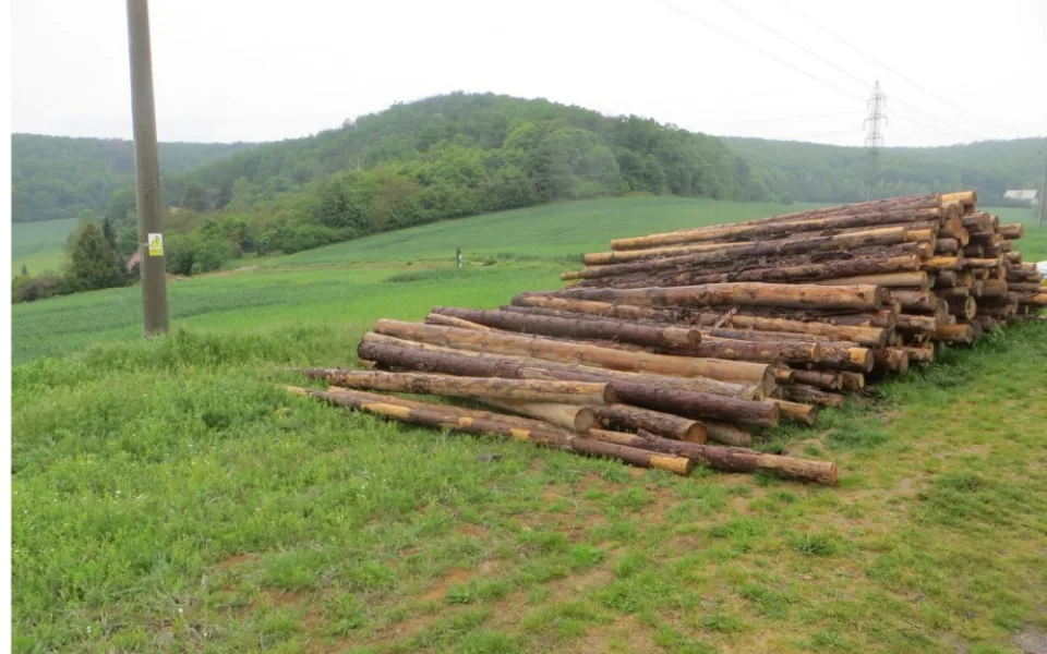 Zdroj: PČR