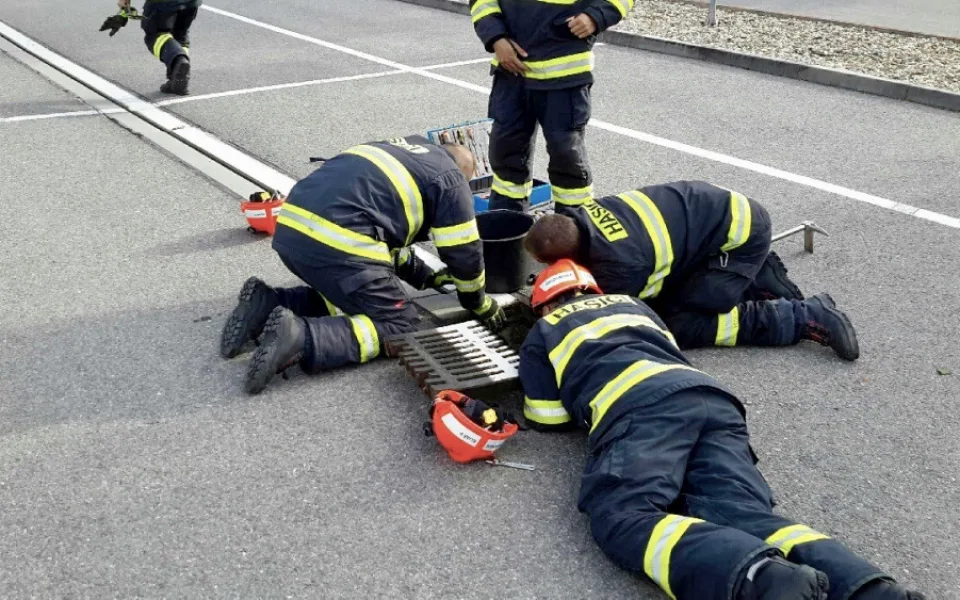 Káčata skončila v kanále, do přírody je zpět pustili hasiči
