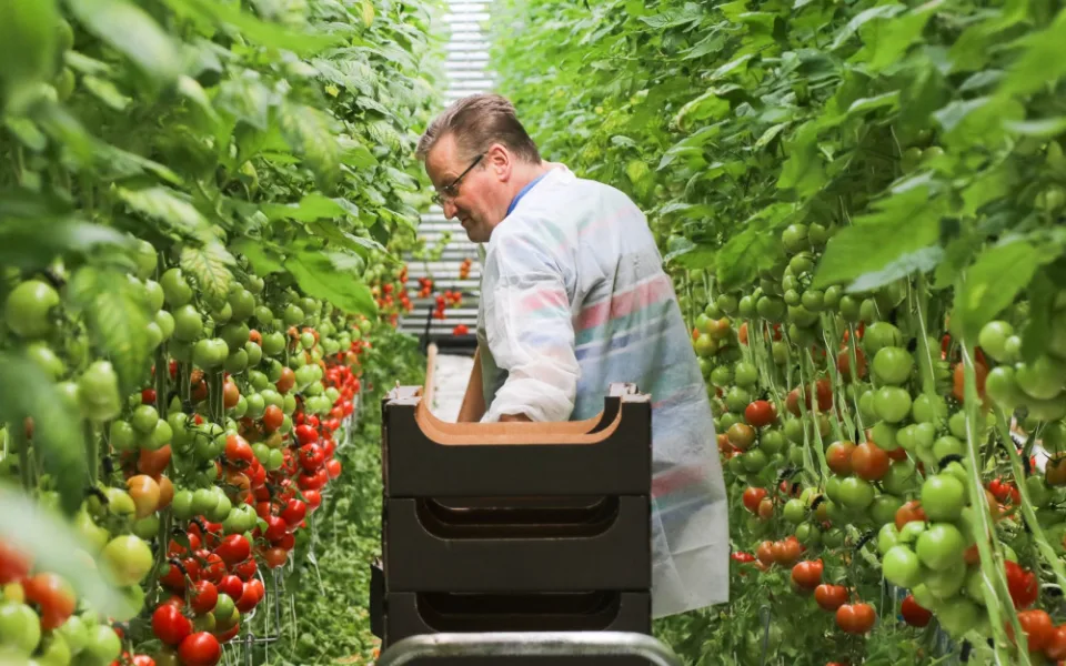 Rodinné farmě z Brna hrozí kvůli územnímu plánu zánik. Farmáři shání podpisy do petice