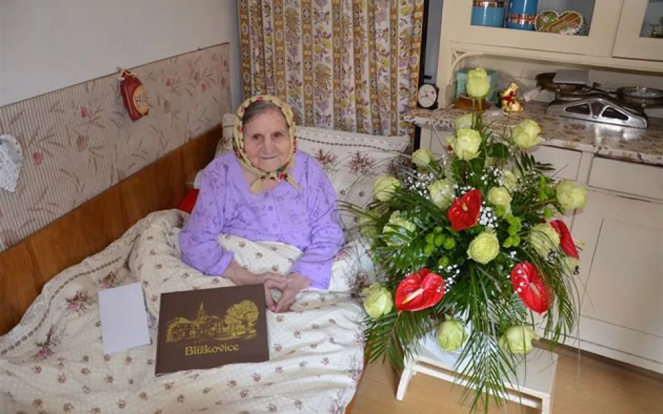 blížkovice marie holikova