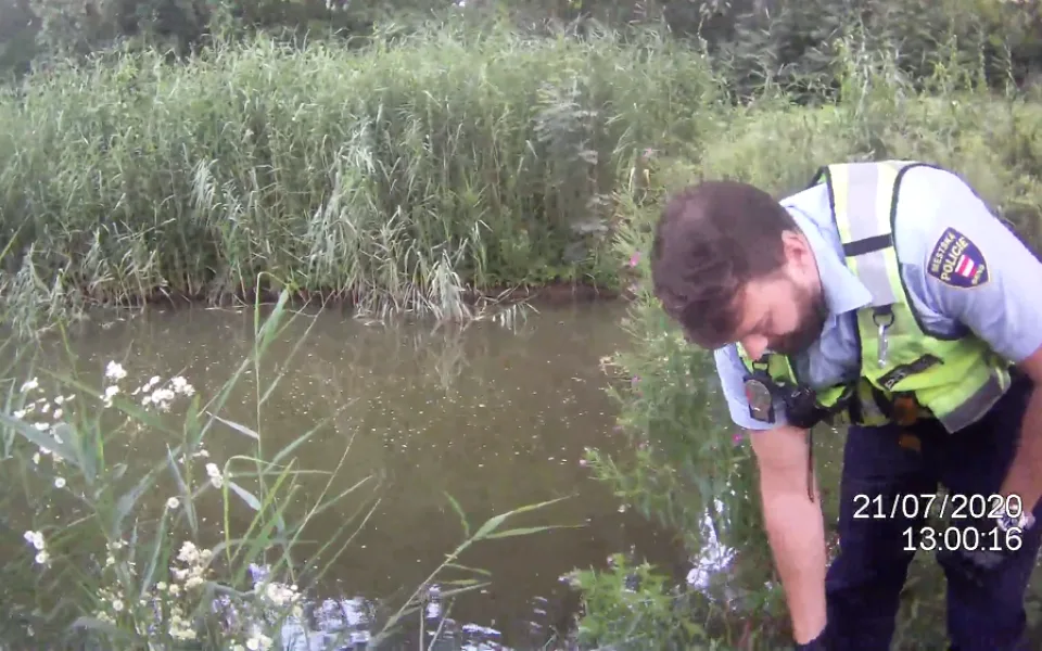 VIDEO: Strážníci vytáhli z jezírka v Brně vyčerpaného muže. Chtěl se jen umýt