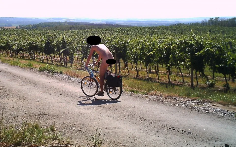 Moravští vinaři umisťují na své vinohrady fotopasti, místo zlodějů vína občas zachytí velmi bizarní situaci, například nahatého cyklistu projíždějícího vinicemi vinařství Lahofer