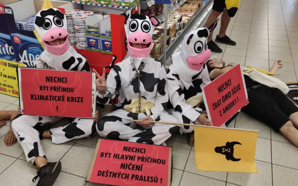 FOTO/VIDEO: Aktivisté v maskách zaplnili Vaňkovku. Chtěli upozornit na odlesňování pralesů kvůli živočišnému průmyslu