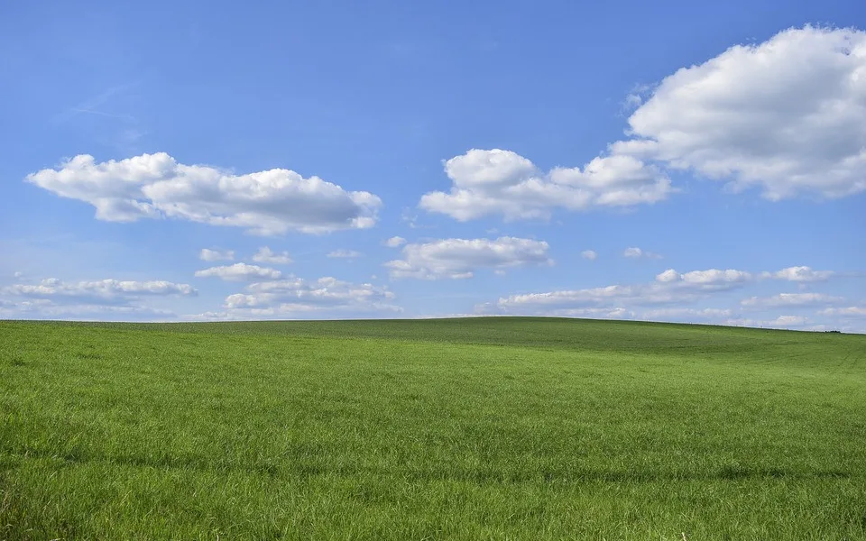 ilustrační foto