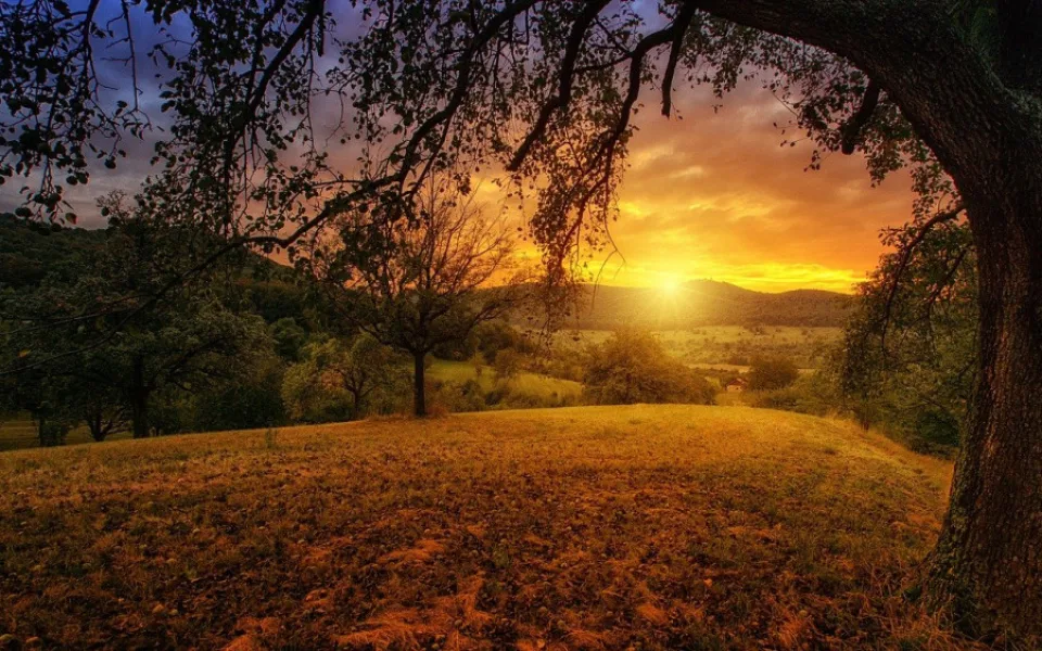 nature-3125912_1280