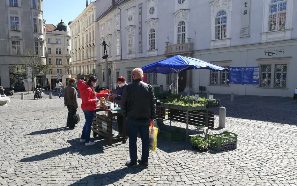 ilustrační foto