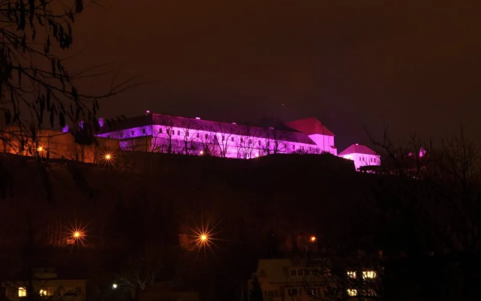 Špilberk se purpurově rozsvítí pro nedonošené děti