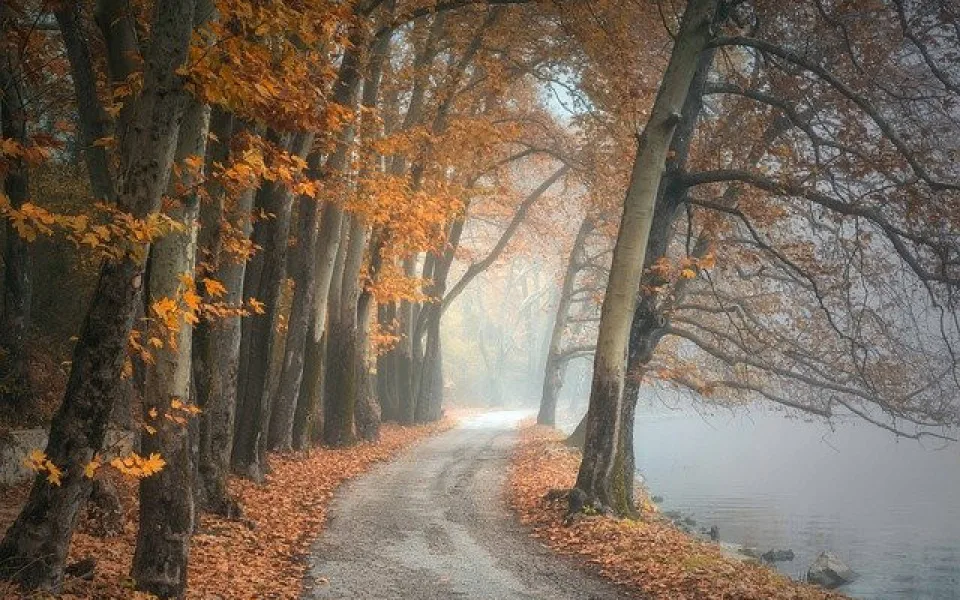 Ilustrační foto
