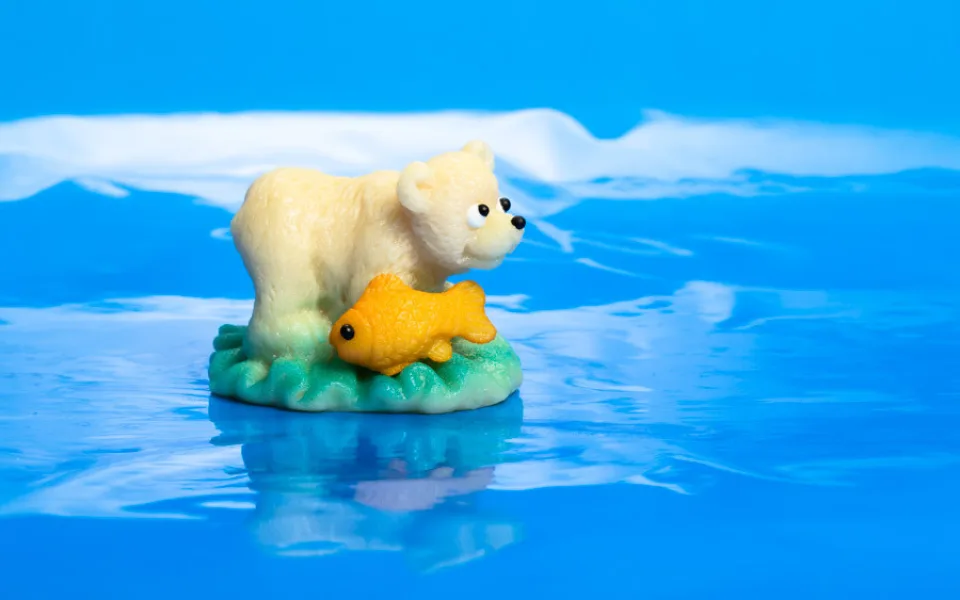 ilustrační foto