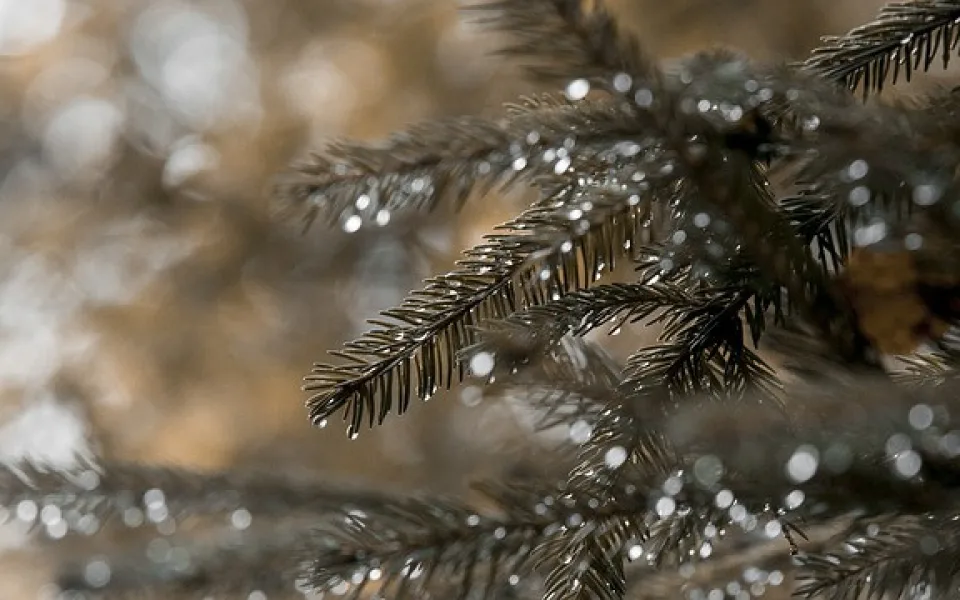 Počasí na pátek. Zdroj: Pixabay